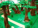 100_0347.jpg