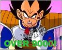 over900.jpg