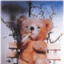 smokeythebear.gif