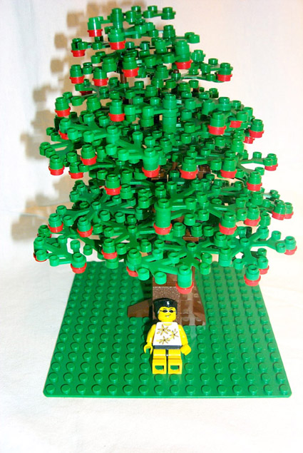 a_tree_gallery.jpg
