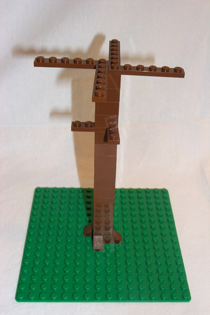 douglas_fir_step1.jpg