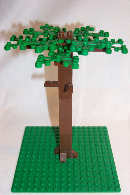 douglas_fir_step2.jpg