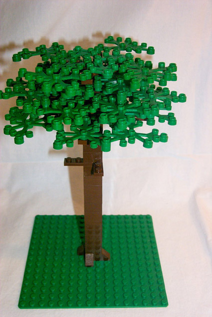 douglas_fir_step3.jpg