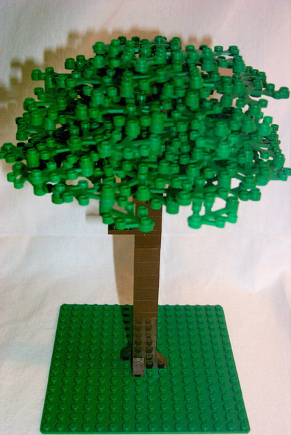 douglas_fir_step4.jpg