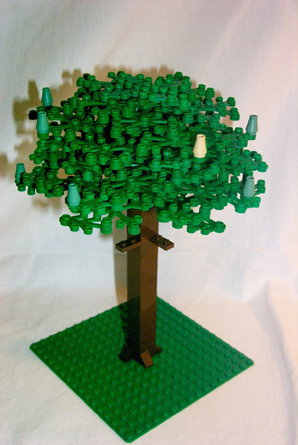 douglas_fir_step5.jpg