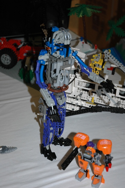 dsc_0313.jpg