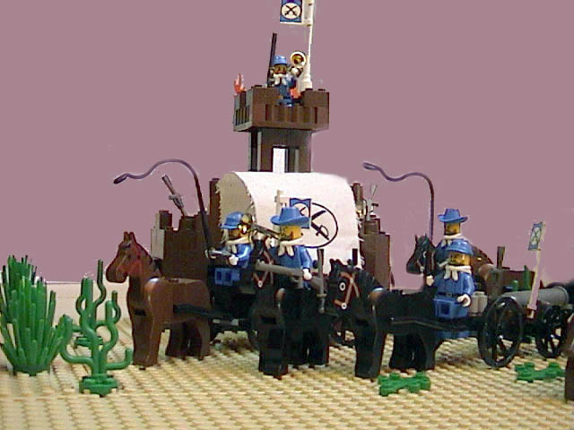 dsc00003.jpg