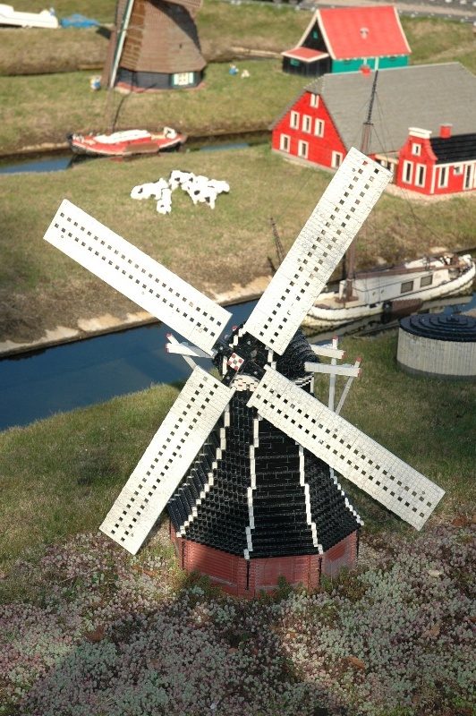 331.jpg
