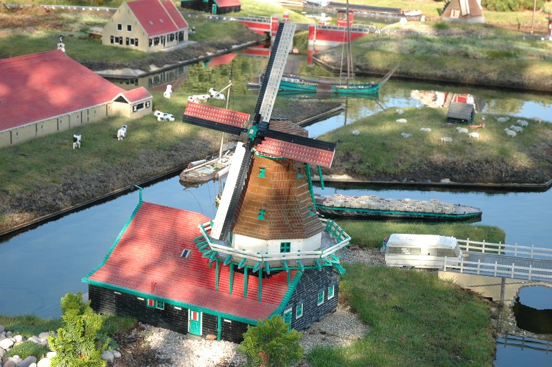 338.jpg