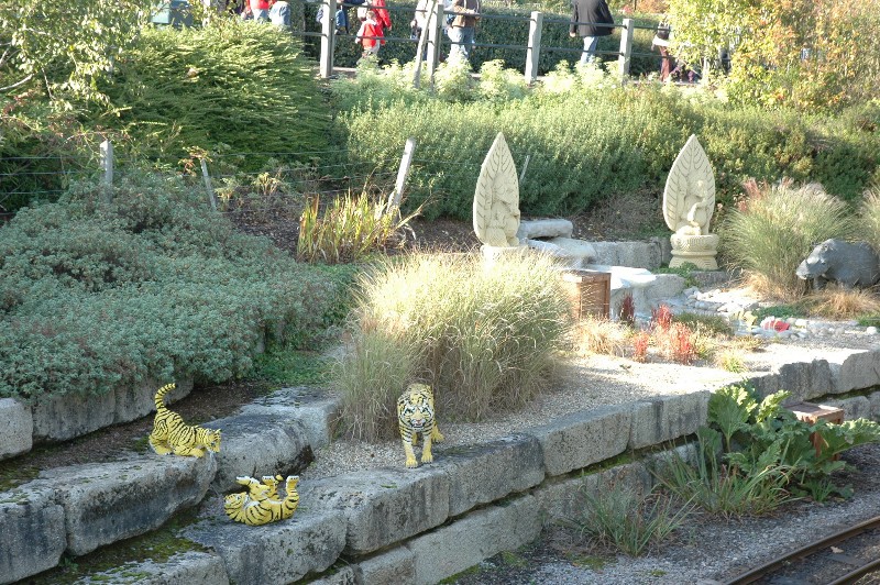 436.jpg