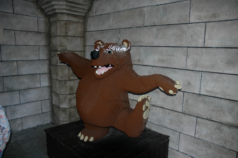 447.jpg