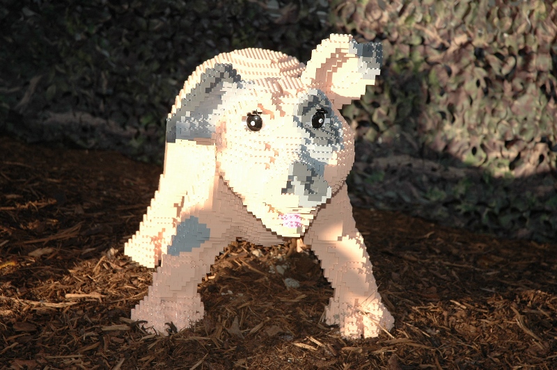 460.jpg