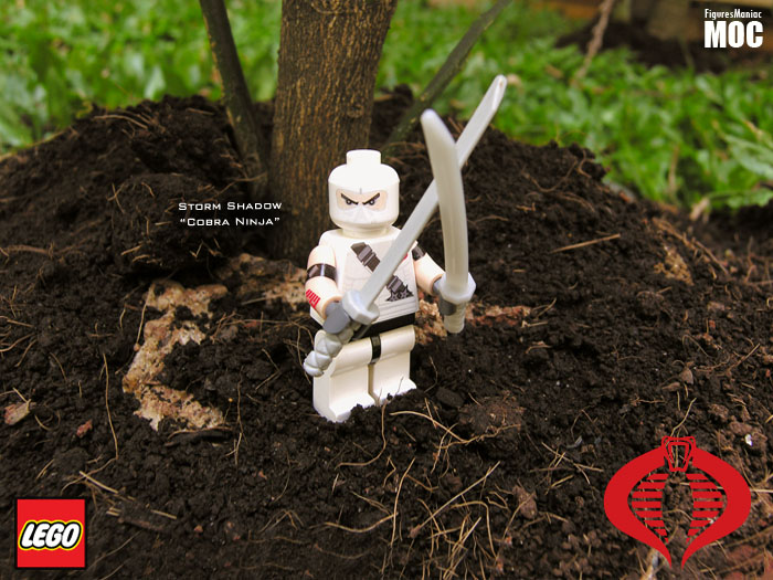gi_joe_-_storm_shadow.jpg