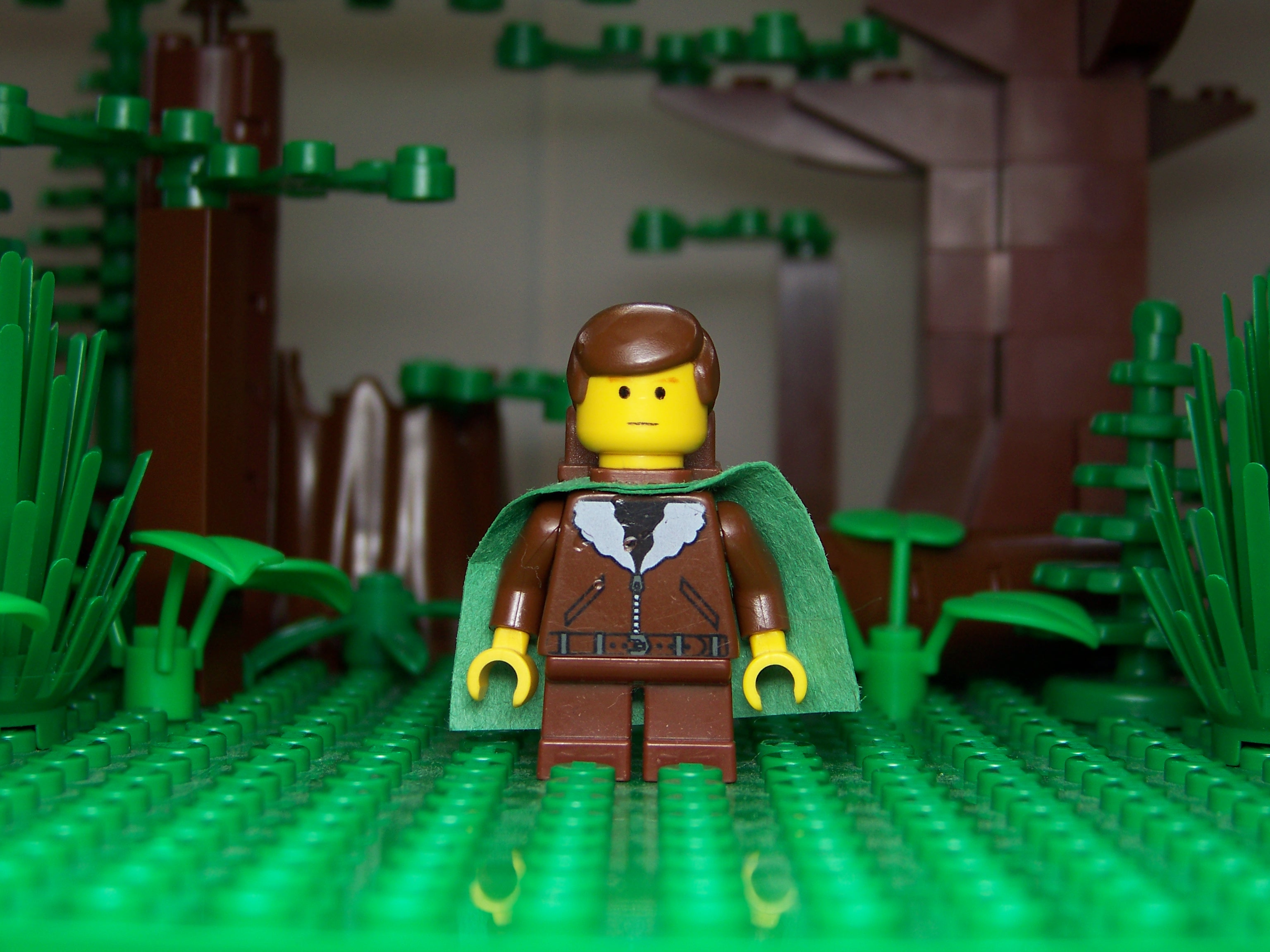 frodo-tfotr.jpg