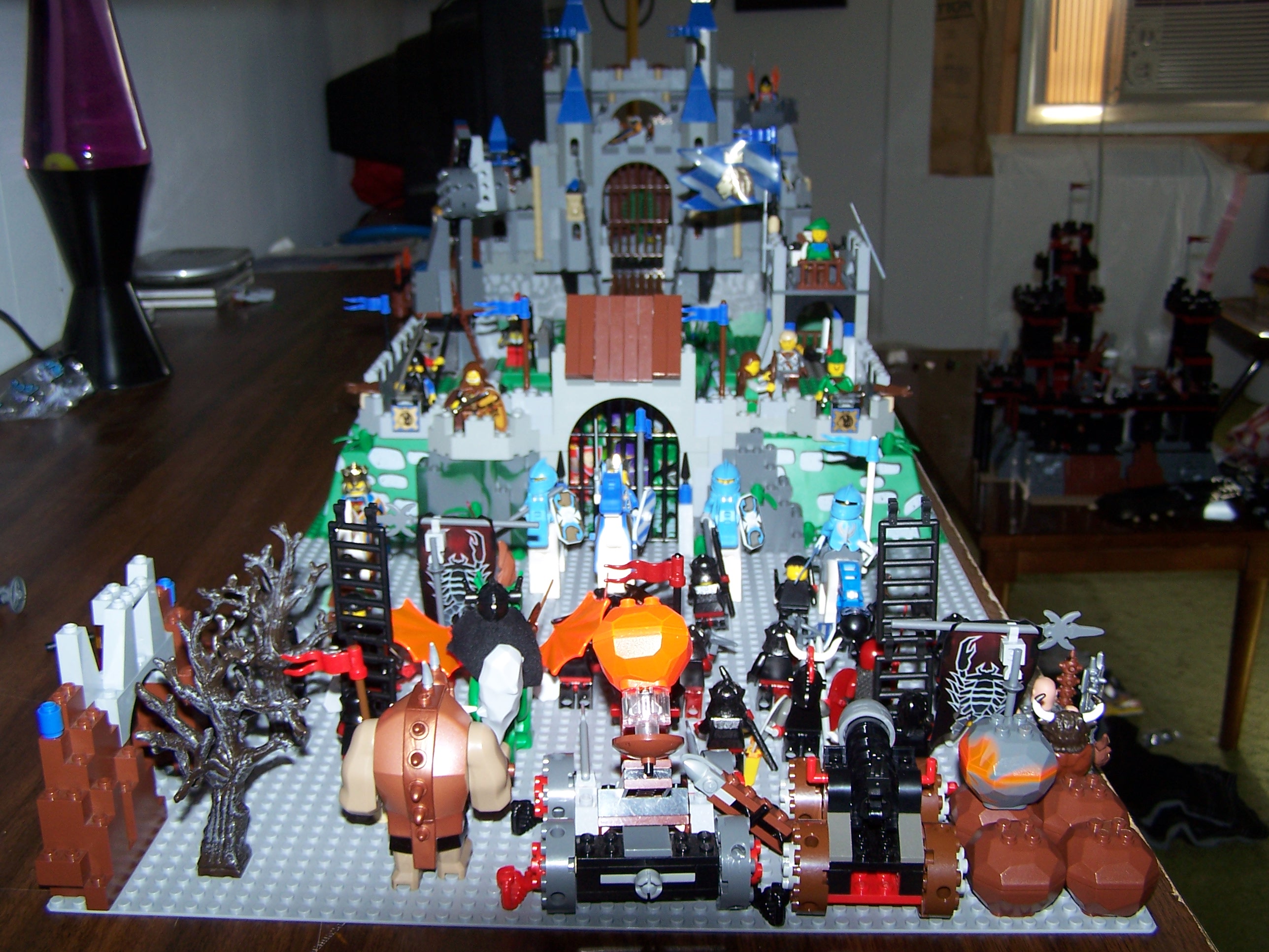 1005790_790_514.jpg
