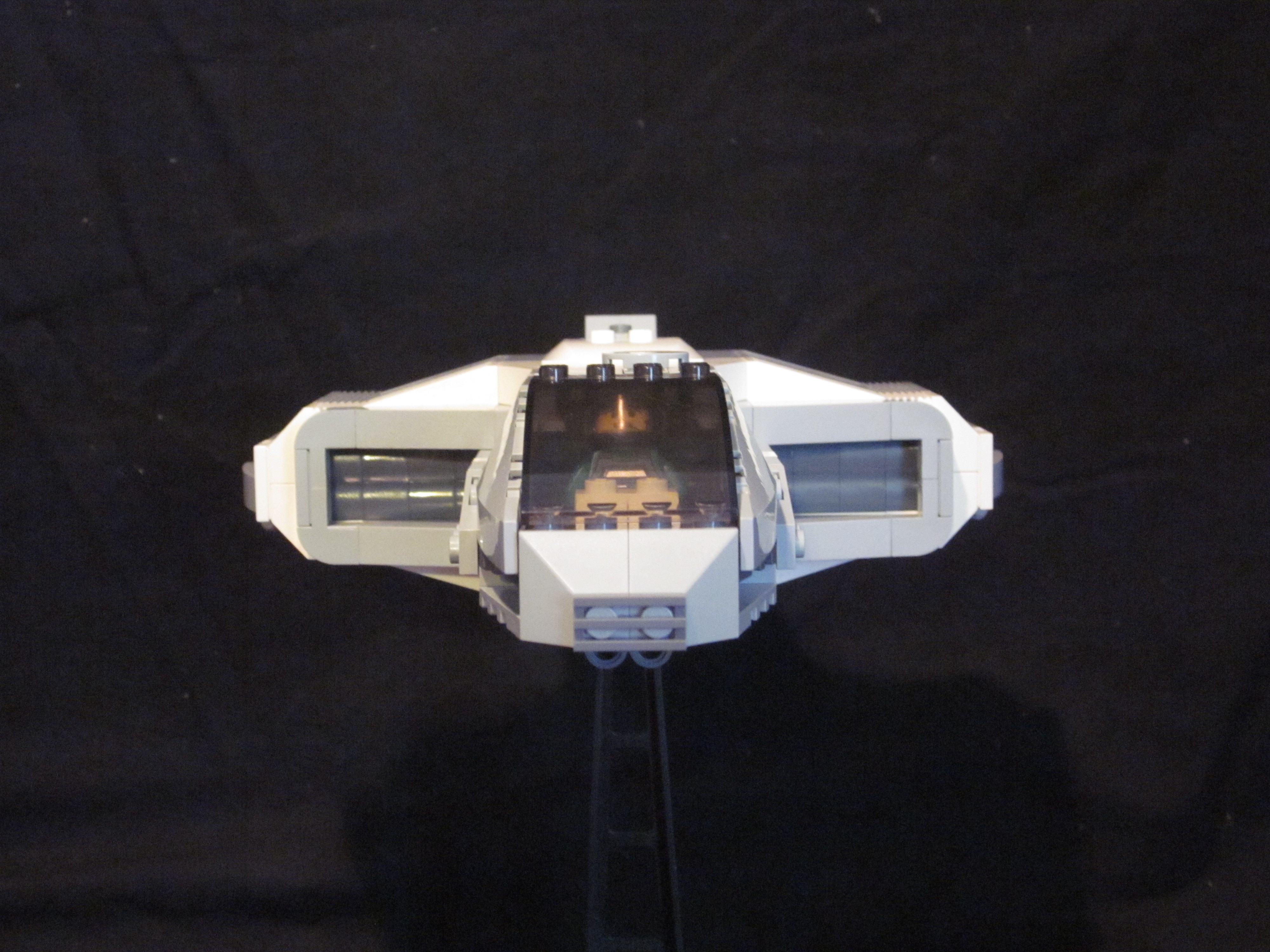 maccus_01.jpg