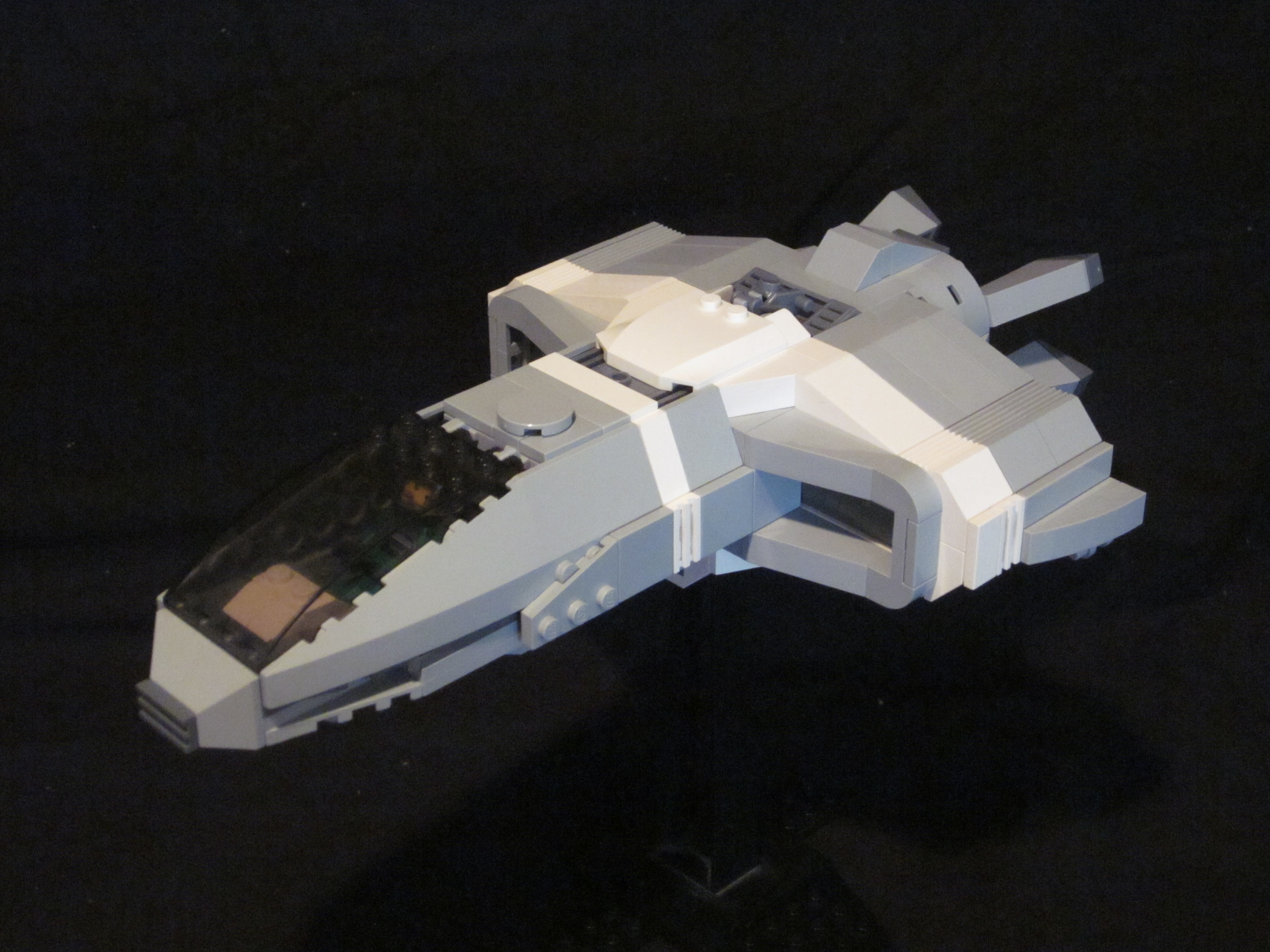 maccus_02.jpg
