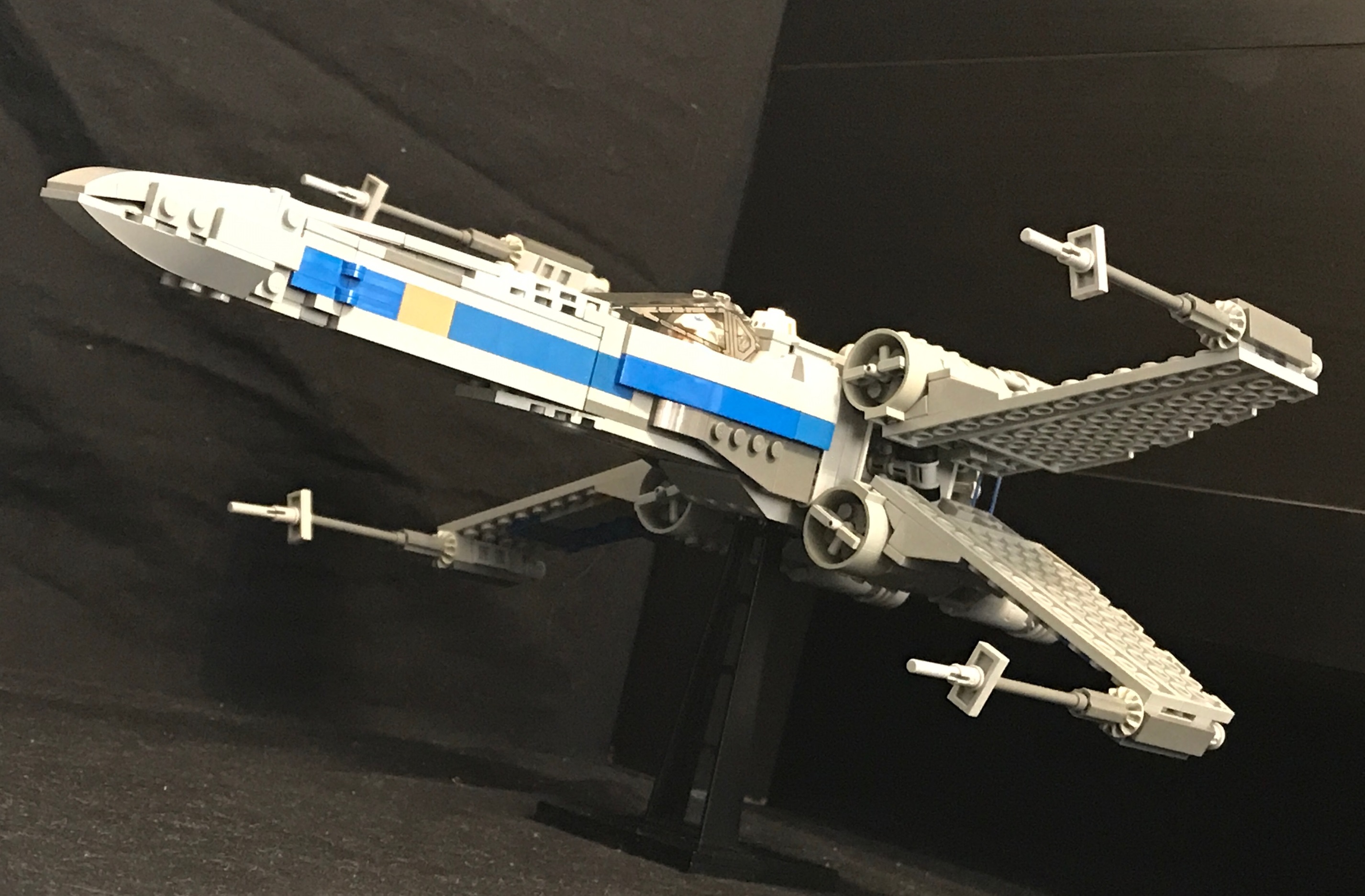 mer_08.jpg