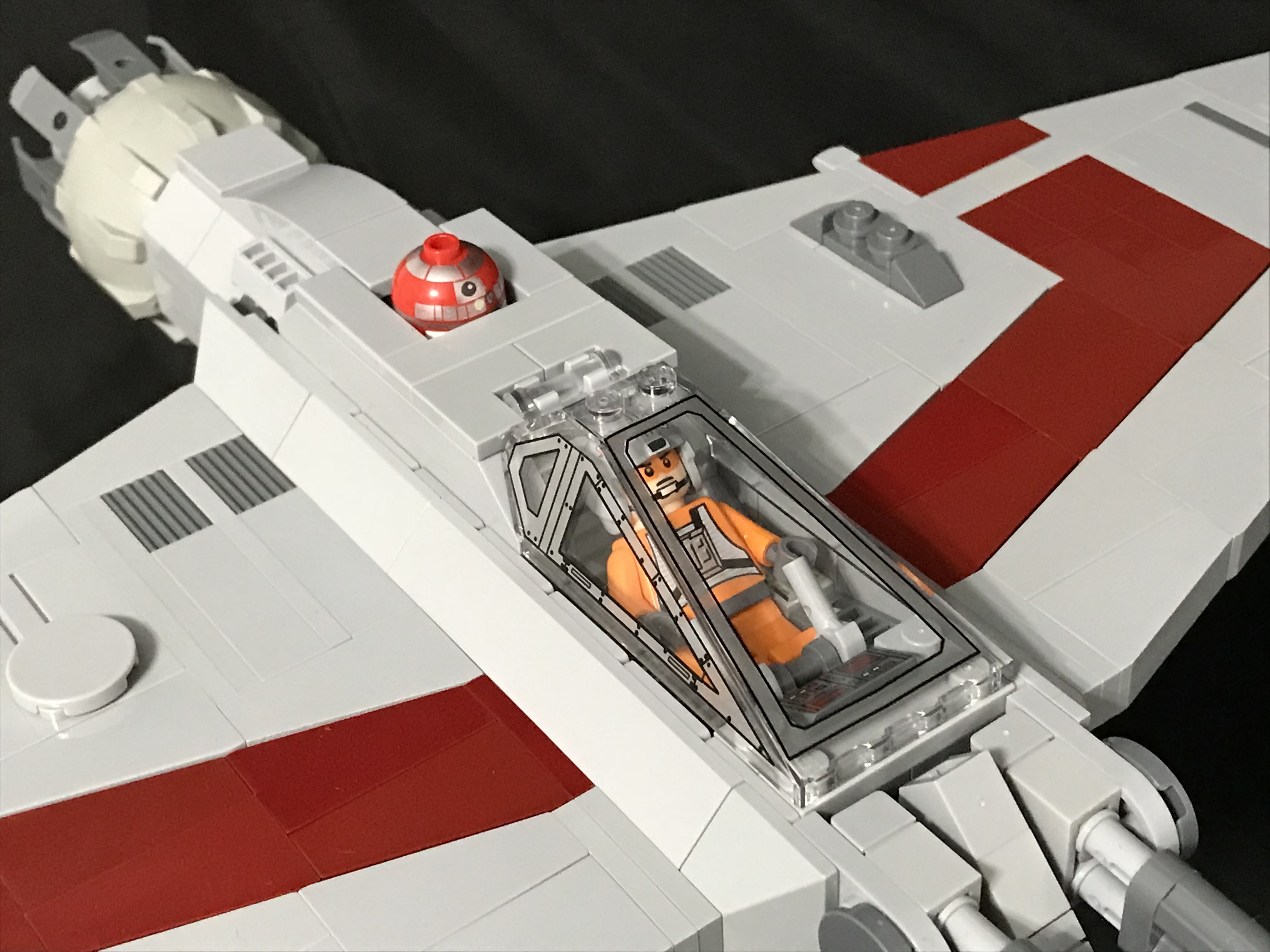 fwing_04.jpg
