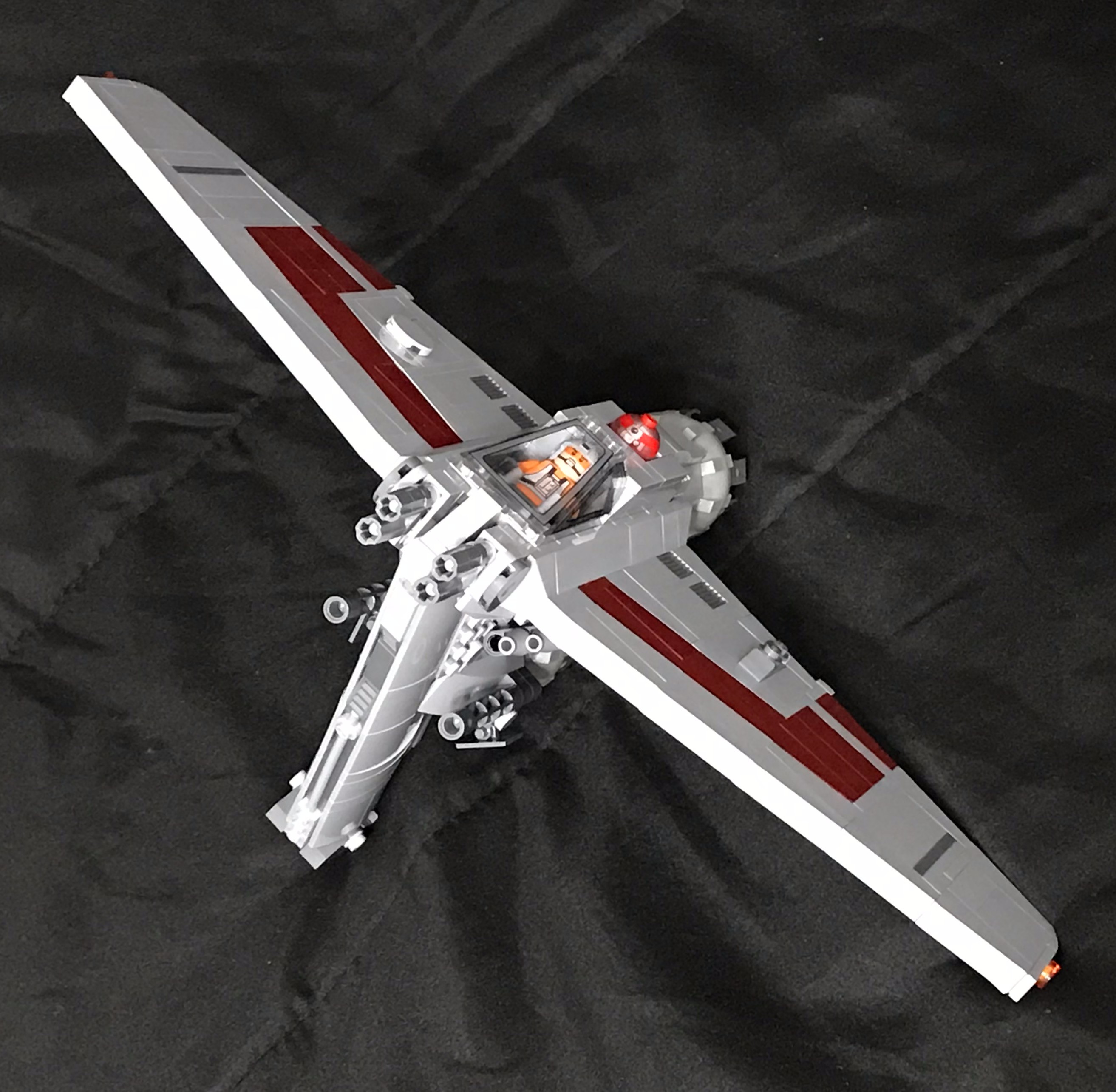 fwing_10.jpg