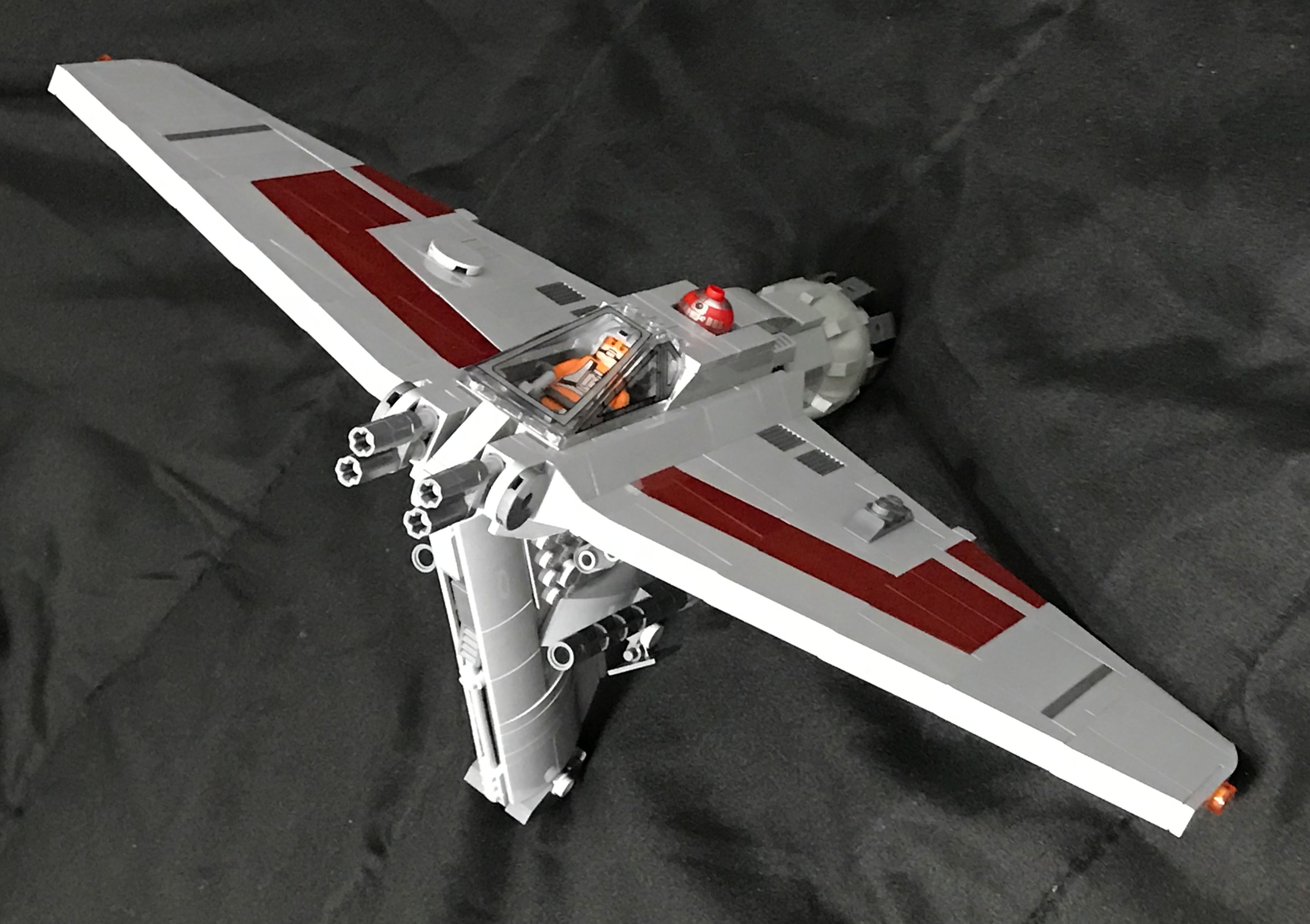 fwing_11.jpg