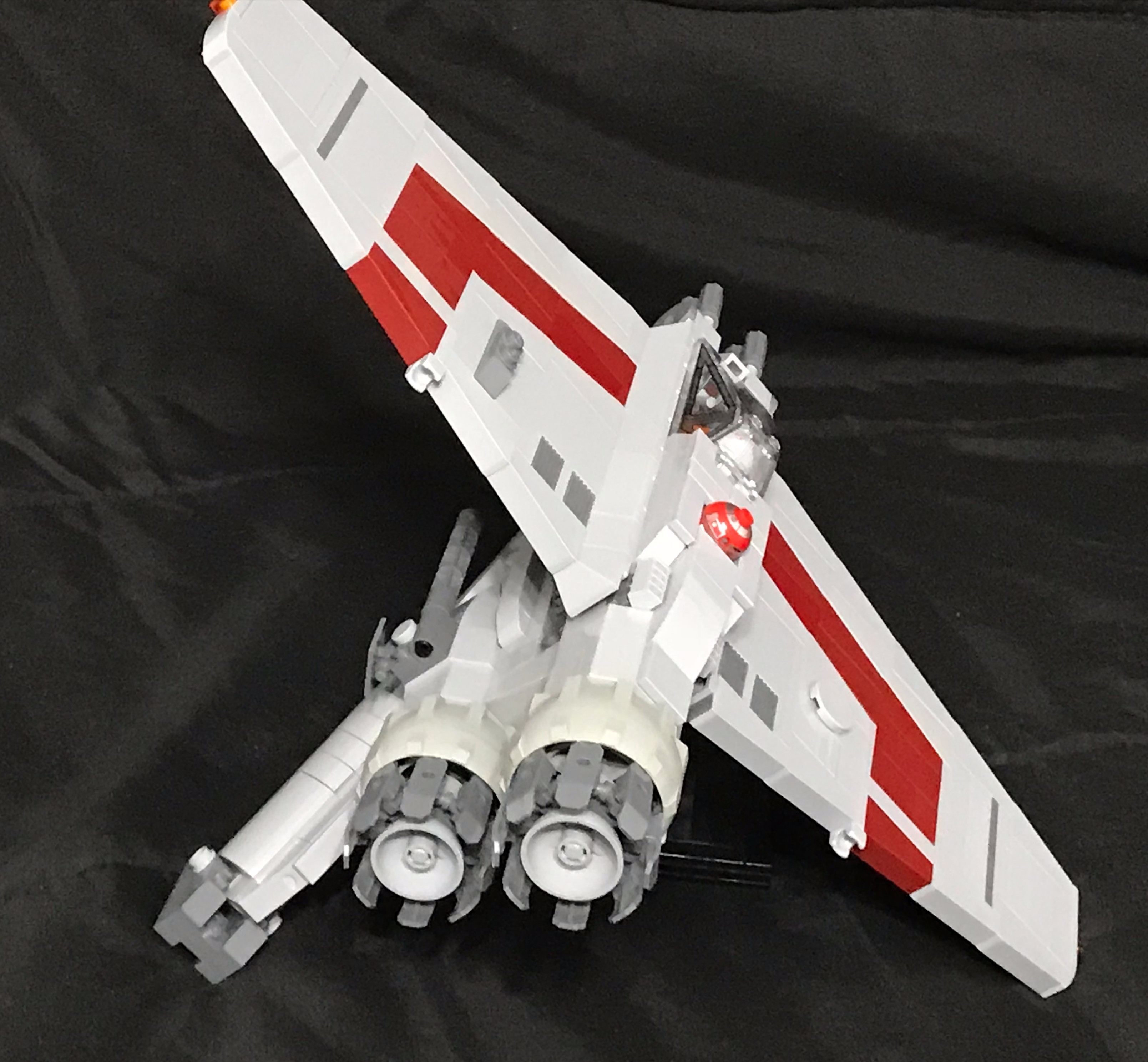 fwing_12.jpg