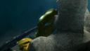 bioniclemovie12.jpg