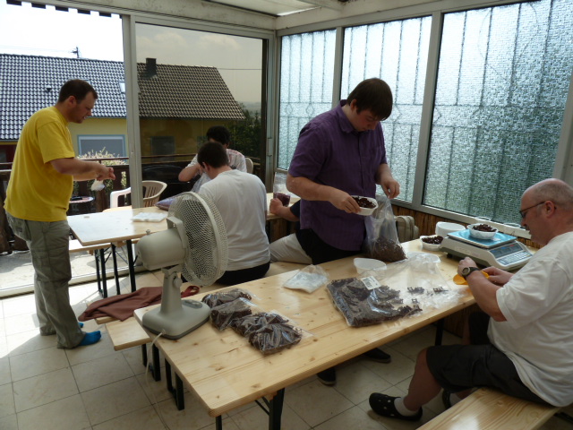 p1050388.jpg