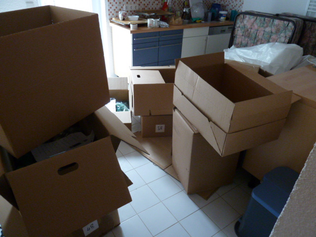 p1050549.jpg
