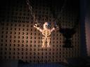 SkeletonHanging
