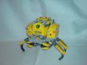 crab3.jpg