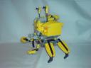 crab5.jpg