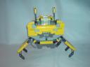 crab9.jpg