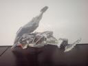 dsc00237.jpg