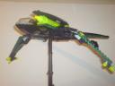 frog11.jpg