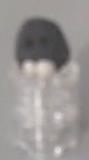 ponda1.jpg