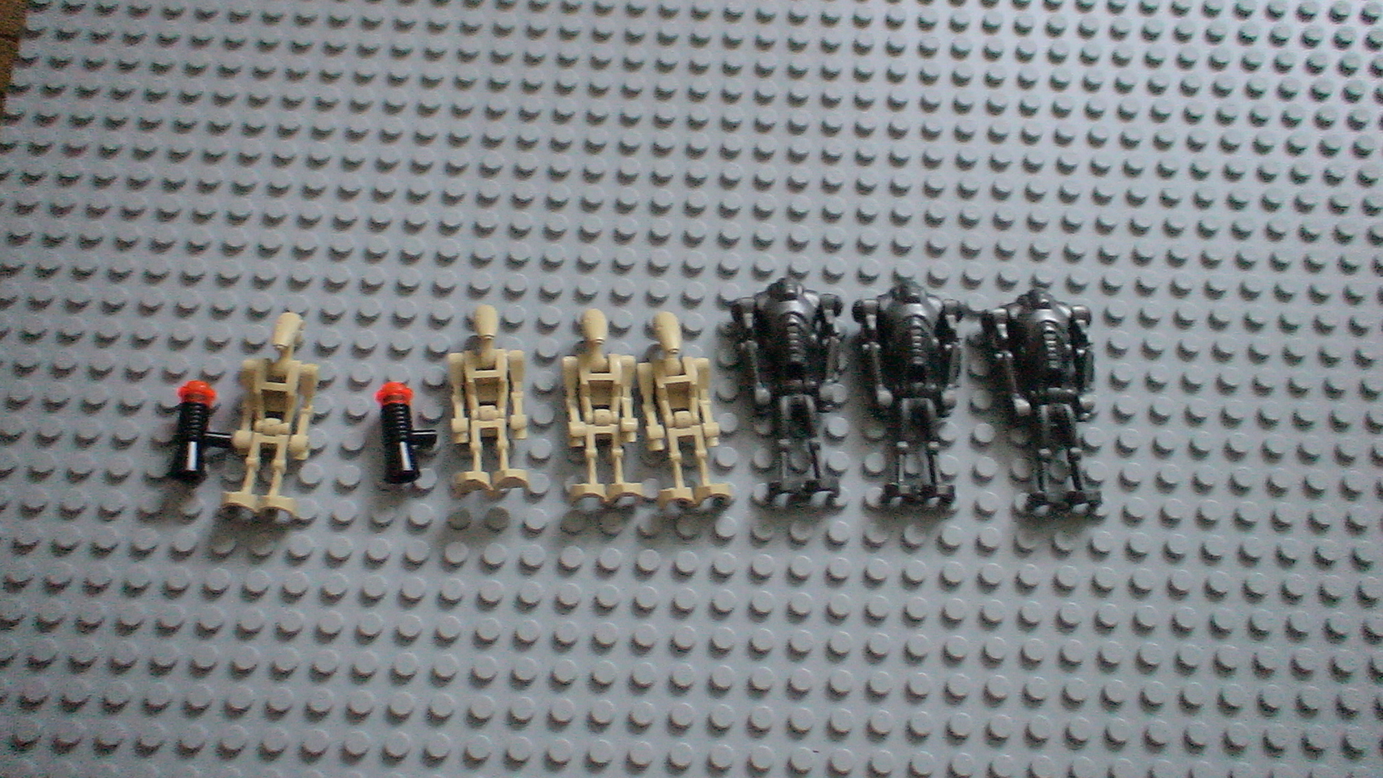 dsc01798.jpg