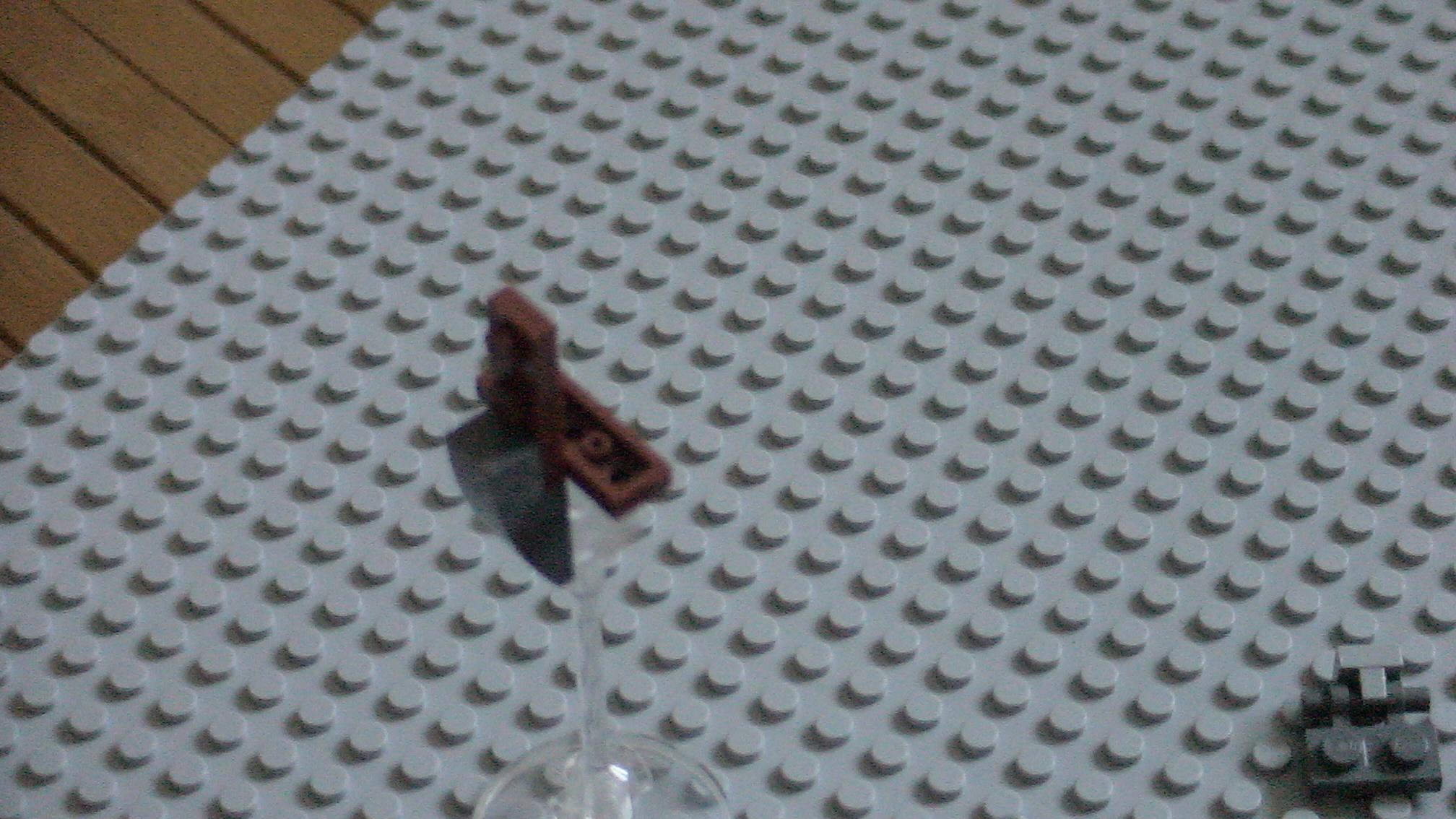 dsc01803.jpg
