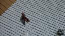 dsc01803.jpg