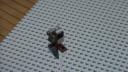 dsc01804.jpg
