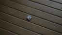 dsc02687.jpg