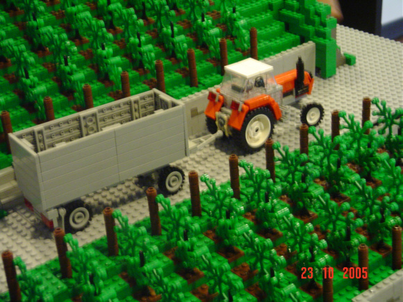 dscf0538.jpg