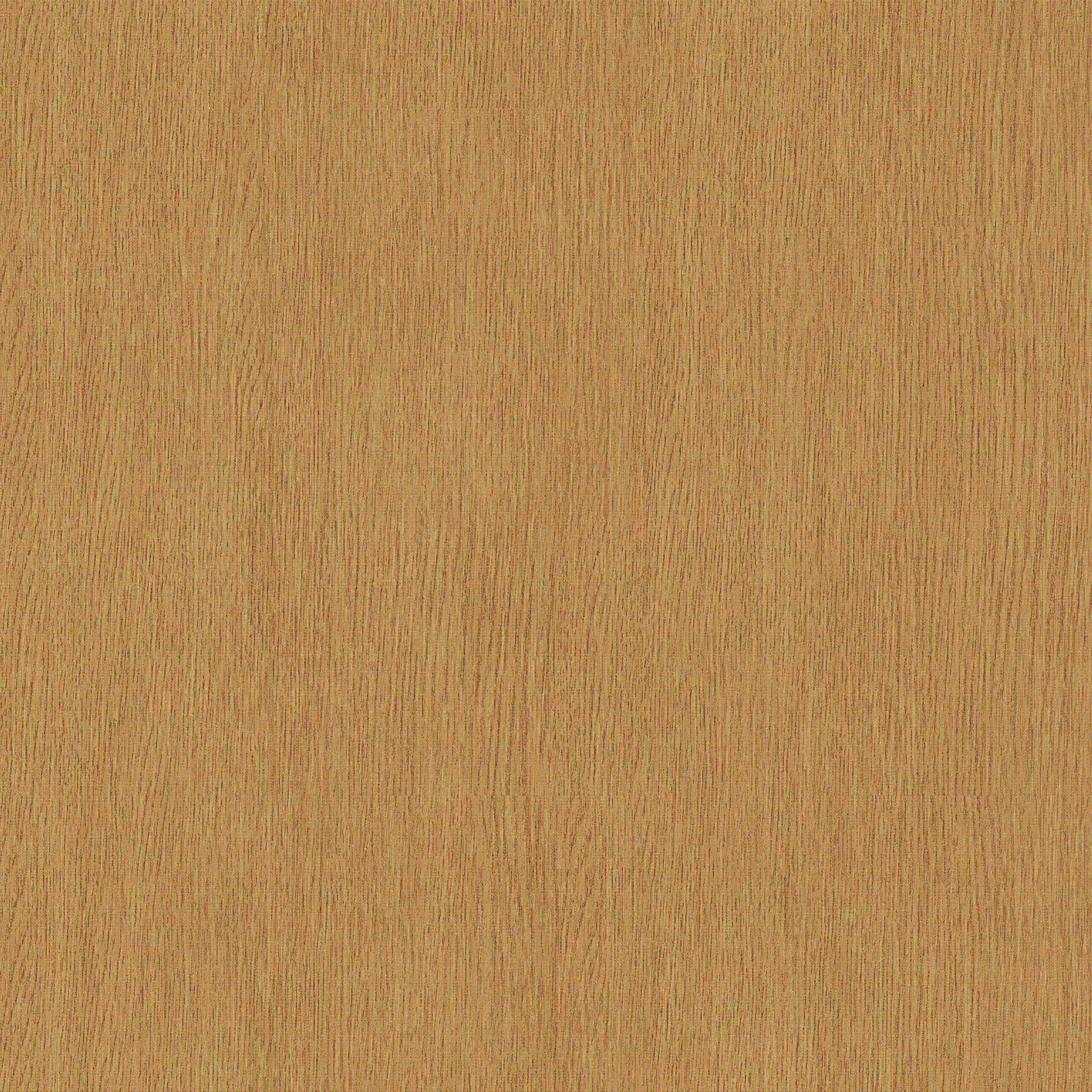 table192x192.gif