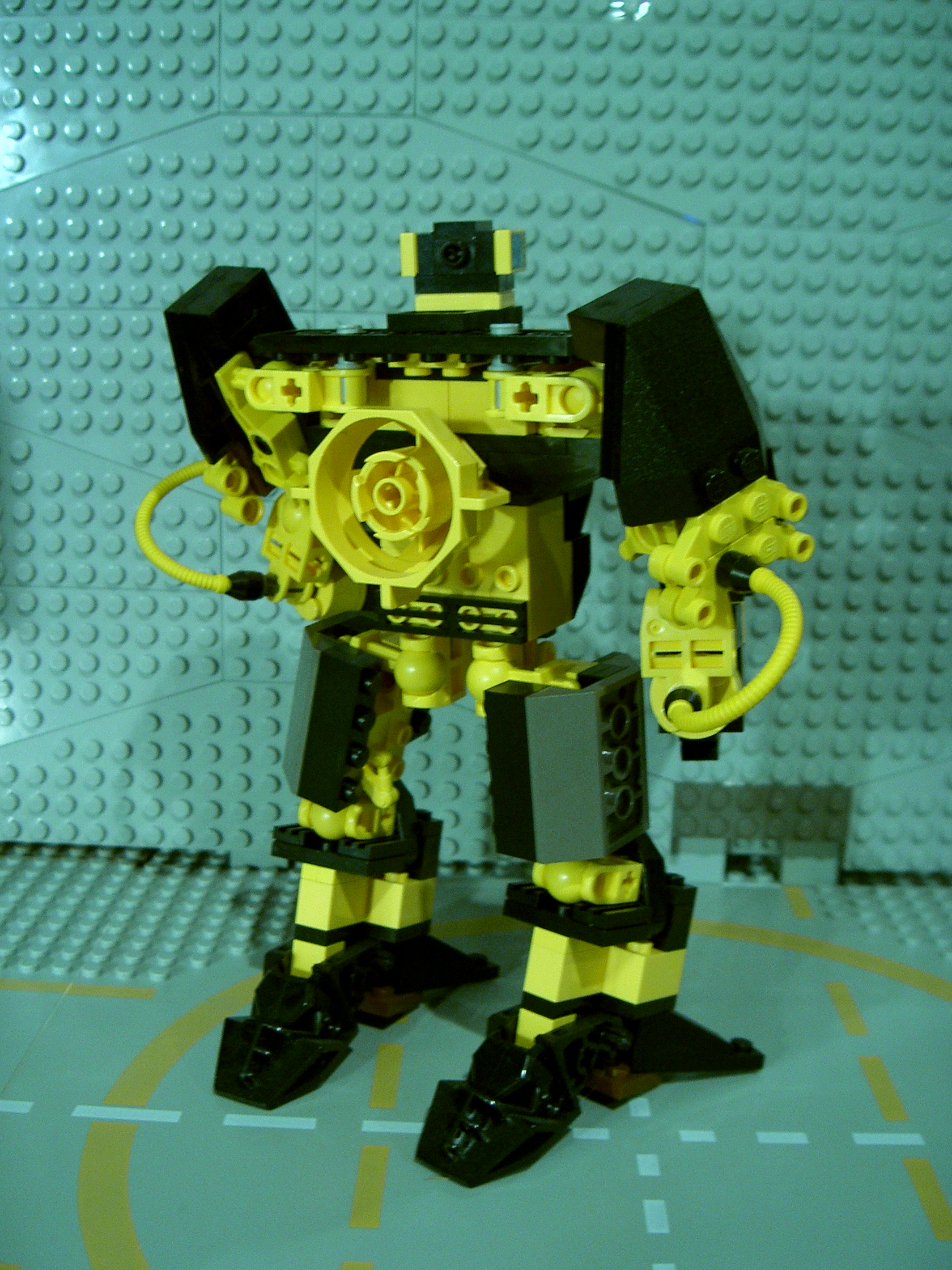lightback.jpg