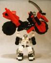 pacycle016.jpg