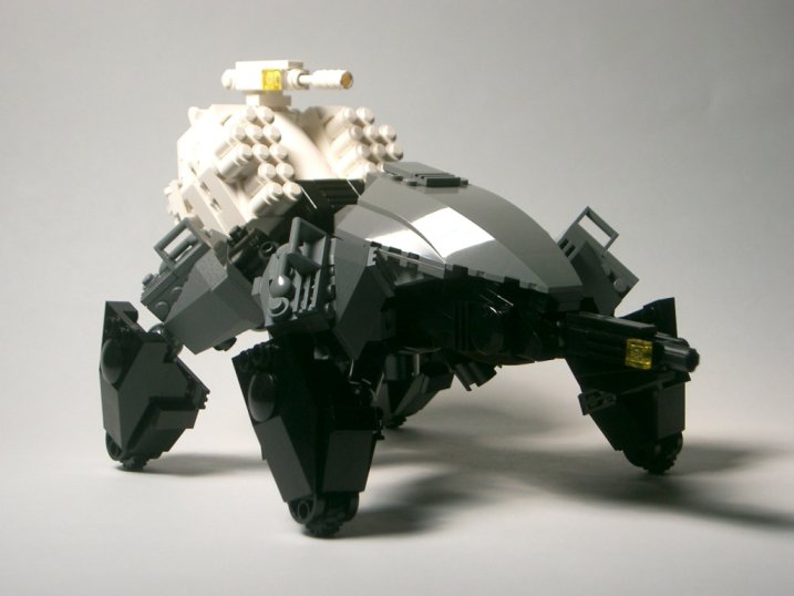 spider02.jpg
