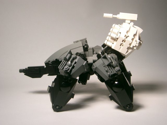 spider04.jpg
