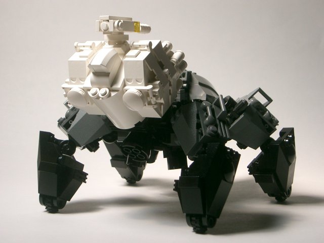 spider06.jpg