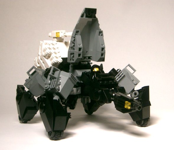 spider08.jpg