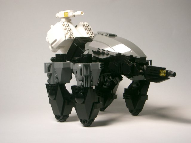 spider18.jpg